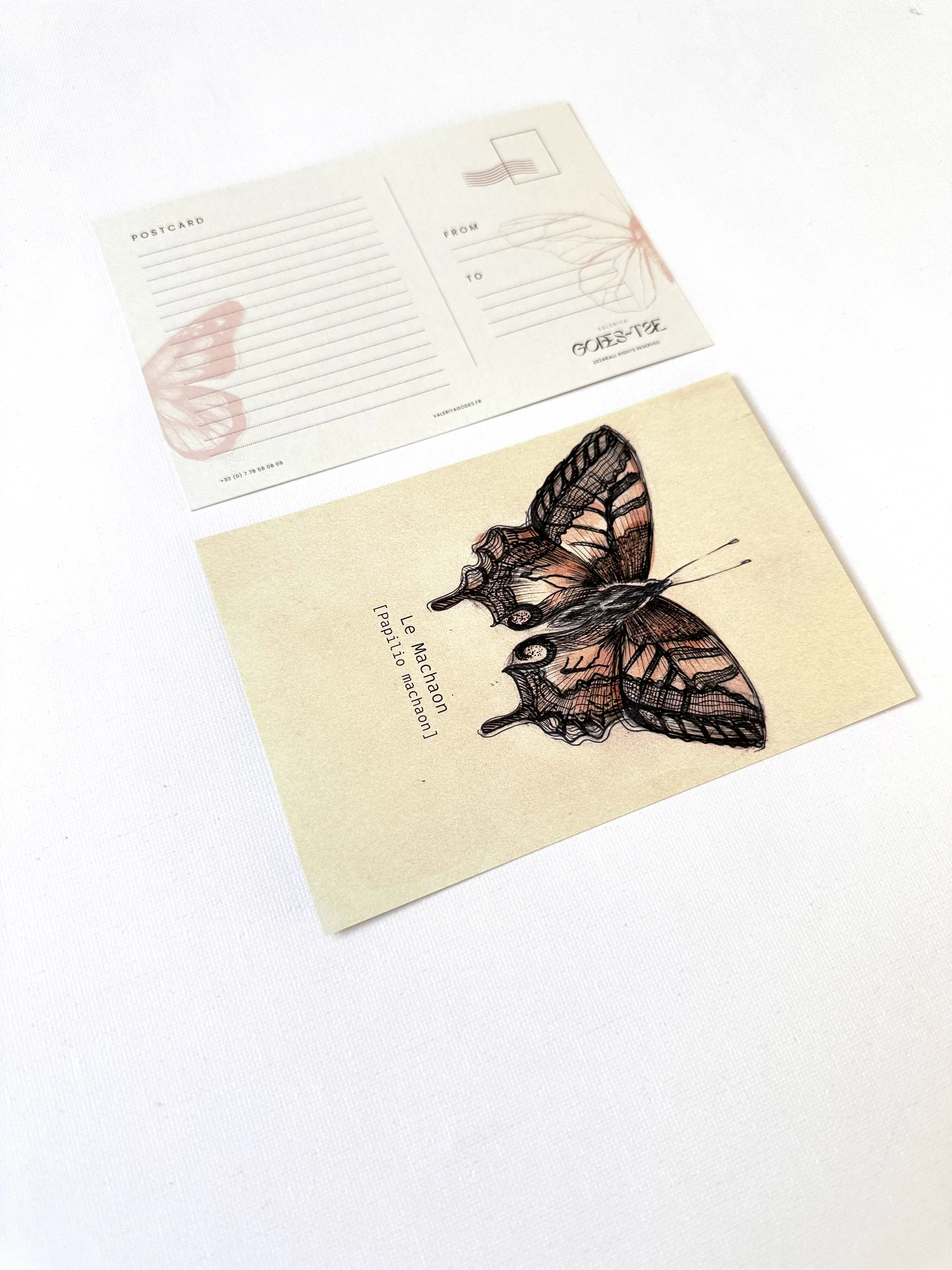 Le Machaon